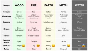 Wu Xing Chart of Associations - Image courtesy of Thomson Chinese Medicine