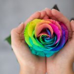 Meaning of Rose Colors on Valentine’s Day