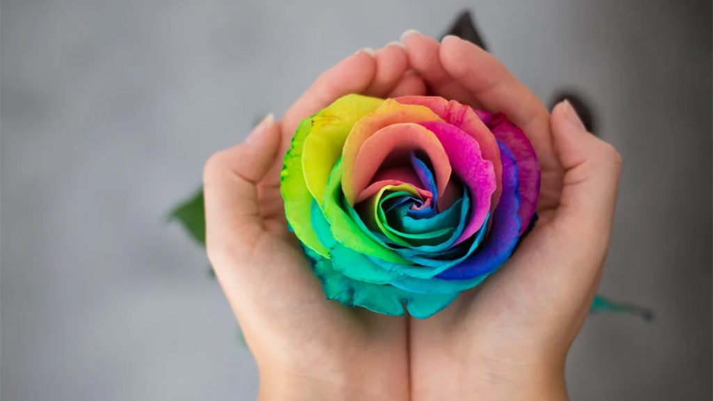 Meaning of Rose Colors on Valentine’s Day