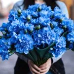 Spiritual Meaning of Blue Flowers