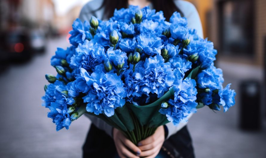 Spiritual Meaning of Blue Flowers