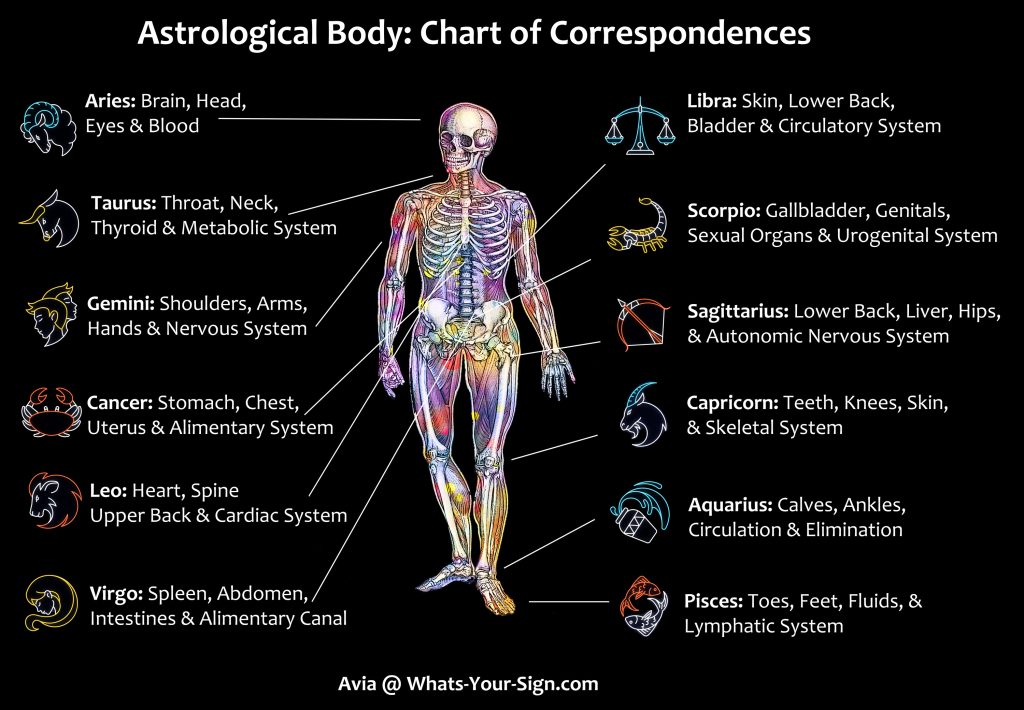 Astrological Body Chart: Zodiac Signs and Body Part Correspondences