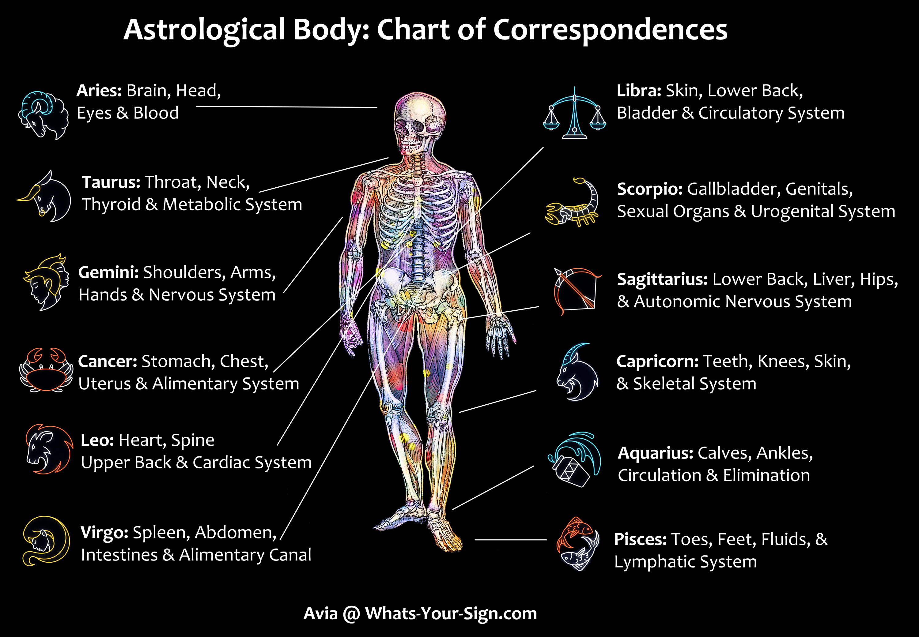 Astrology and Your Health: Zodiac Signs and Corresponding Body Parts ...
