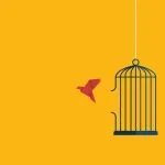 Finding Hope After Trauma