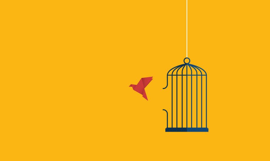 Finding Hope After Trauma: Steps to Recovery from PTSD