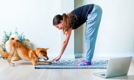 Balancing Physical Health and a Busy Lifestyle