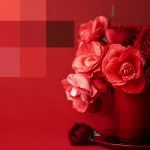How Red is Used in Symbolism in Different Cultures