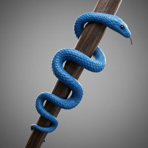 The Staff of Asclepius
