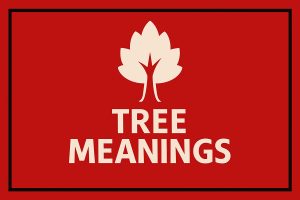 Tree Symbolism and Tree Meanings on Whats-Your-Sign