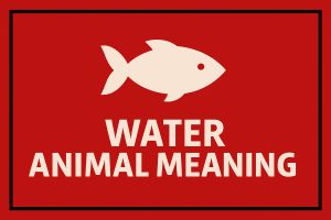 Water Animal Meanings on Whats-Your-Sign
