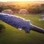 Tecpatl Aztec Day Sign Flint Aztec Astrology Sign Meaning