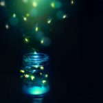 Firefly Spiritual Meaning