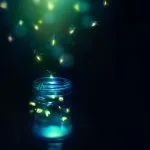 Firefly Spiritual Meaning