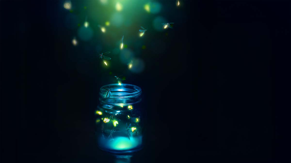 Firefly Spiritual Meaning