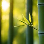Symbolic Meaning of Bamboo
