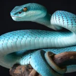 A blue snake wrapped around a branch